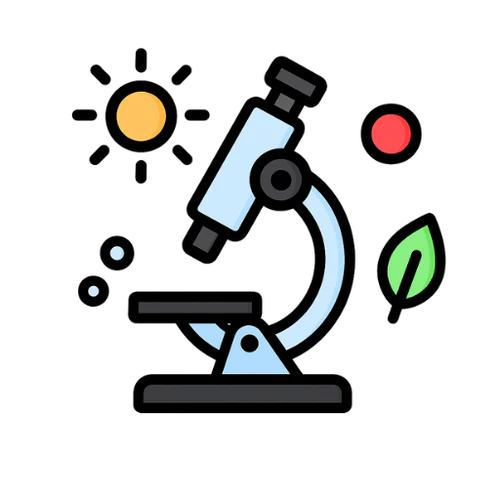 Science Activities
